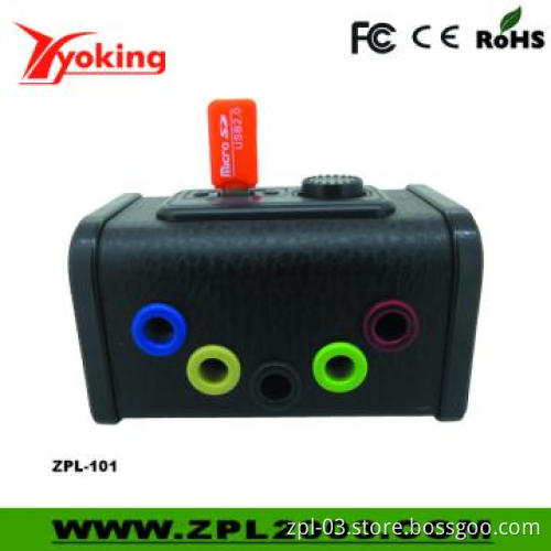 Wooden Portable Mini Speaker (ZPL-101)